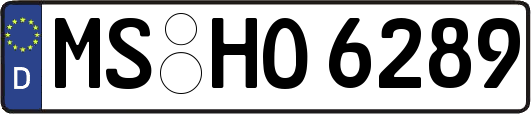 MS-HO6289