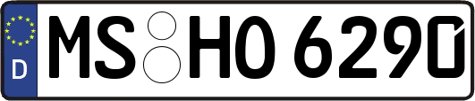 MS-HO6290
