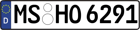 MS-HO6291