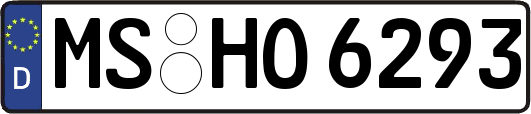 MS-HO6293