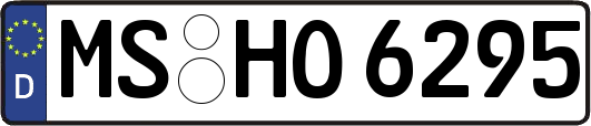 MS-HO6295