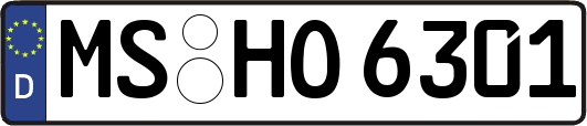 MS-HO6301