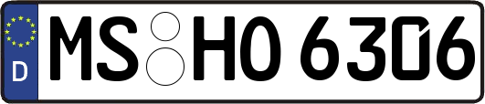 MS-HO6306