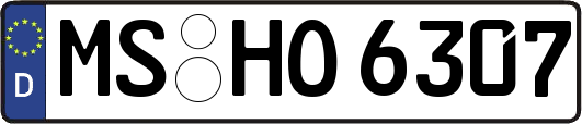 MS-HO6307