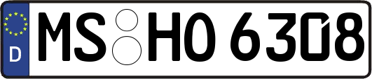 MS-HO6308