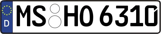 MS-HO6310