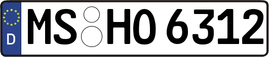 MS-HO6312