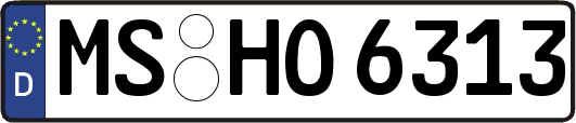 MS-HO6313