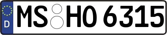 MS-HO6315