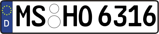 MS-HO6316