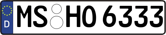 MS-HO6333
