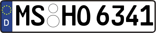 MS-HO6341