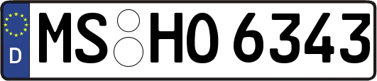 MS-HO6343