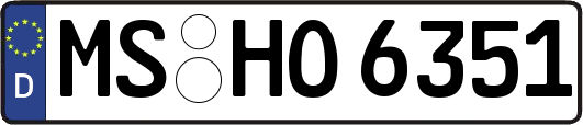 MS-HO6351