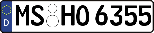 MS-HO6355