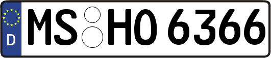 MS-HO6366