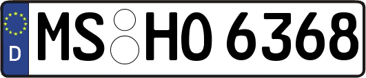 MS-HO6368