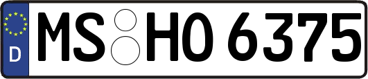 MS-HO6375