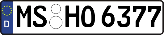 MS-HO6377