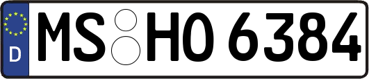 MS-HO6384