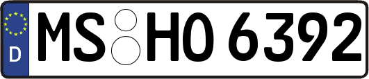 MS-HO6392