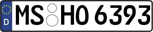 MS-HO6393