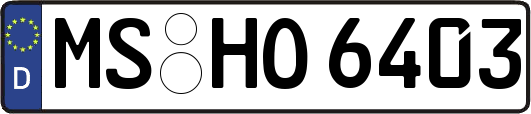 MS-HO6403
