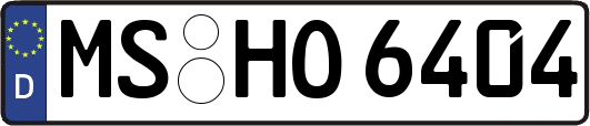 MS-HO6404