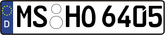 MS-HO6405