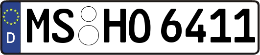 MS-HO6411