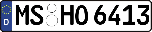 MS-HO6413