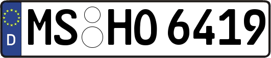 MS-HO6419