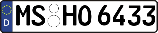 MS-HO6433