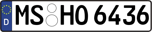MS-HO6436