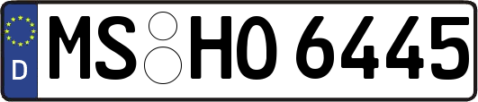 MS-HO6445