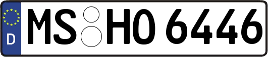 MS-HO6446