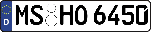 MS-HO6450