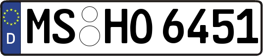 MS-HO6451