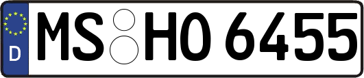 MS-HO6455