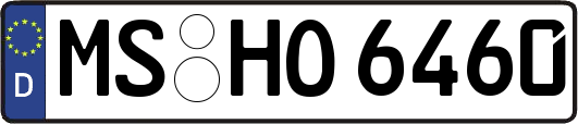 MS-HO6460