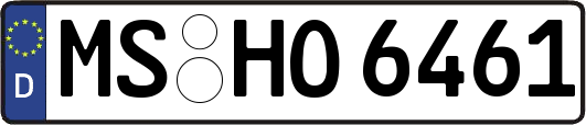 MS-HO6461