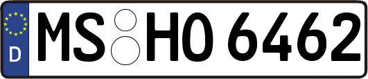 MS-HO6462