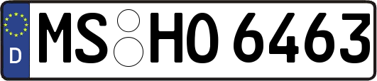 MS-HO6463