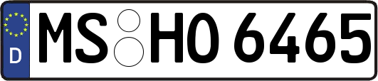 MS-HO6465