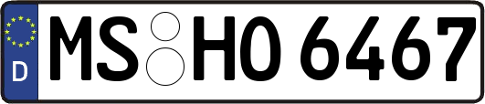 MS-HO6467