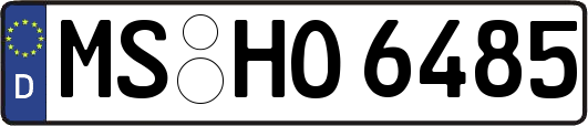 MS-HO6485