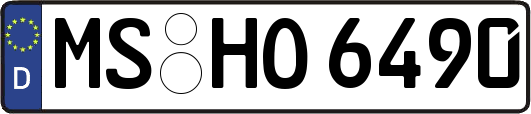 MS-HO6490