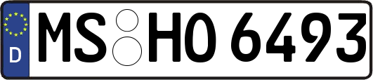 MS-HO6493
