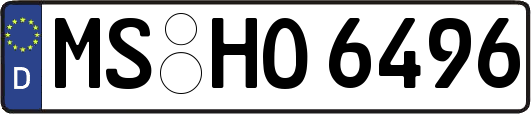 MS-HO6496