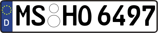 MS-HO6497